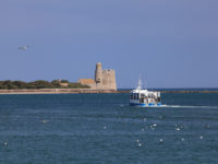 ile-Tatihou-Bateau-amphibie- Cotentin Saint Vaast La Hougue