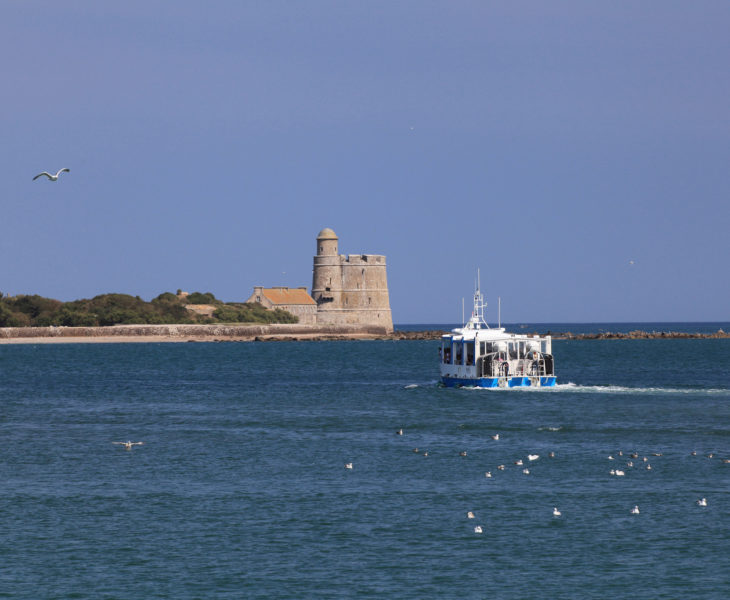 Atelier enfant Cotentin : Île Tatihou