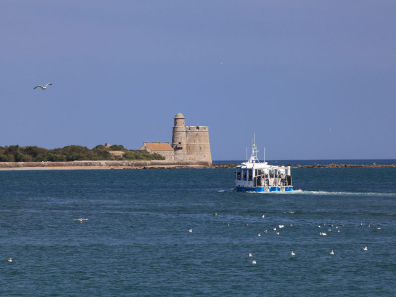 Atelier enfant Cotentin : Île Tatihou