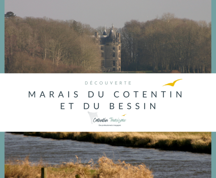 Marais du Cotentin et du Bessin : découvrez des paysages uniques dans la Manche