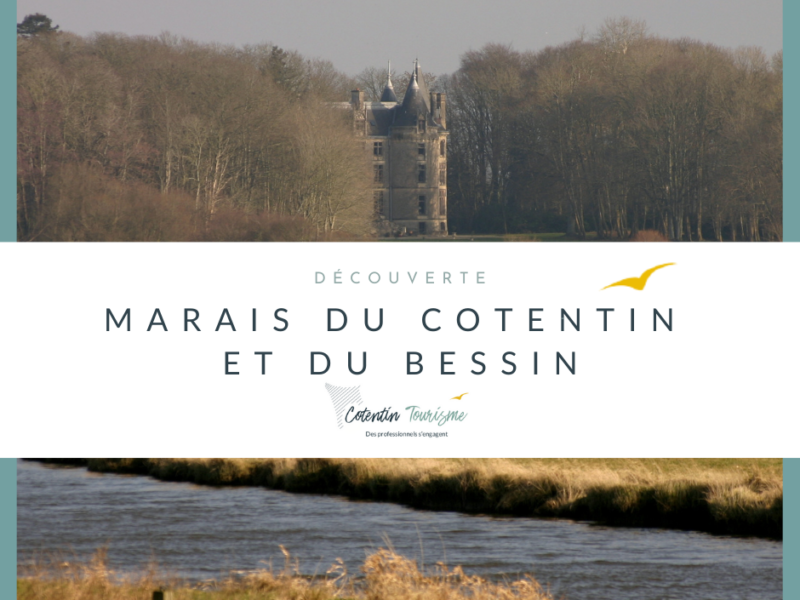 Marais du Cotentin et du Bessin : découvrez des paysages uniques dans la Manche