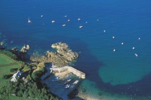 Port racine @C P. Courault - Cotentin Tourisme