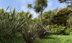 Jardin botanique de Vauville