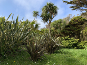 Jardin botanique de Vauville Cotentin Tourisme jardin remarquable Chateau de Vauville Normandie @jardin botanique de Vauville