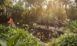 Jardin botanique de Vauville