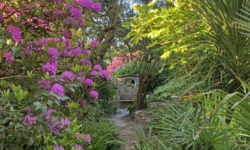 Jardin botanique de Vauville